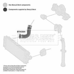 Hose Clip BORG & BECK BTH1364 OE Ref 9065282682