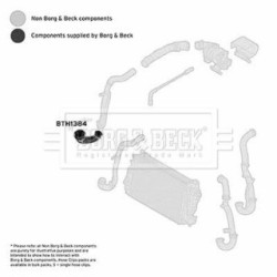 Hose Clip BORG & BECK BTH1384 OE Ref 55352162