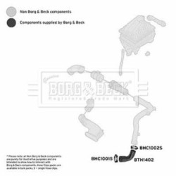 Hose Clip BORG & BECK BTH1402 OE Ref 55355059