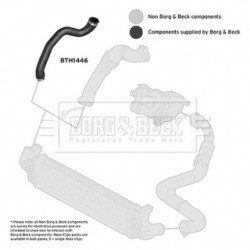 Hose Clip BORG & BECK BTH1446 OE Ref 1324645