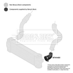 Hose Clip BORG & BECK BTH1451 OE Ref 1749235 BORG & BECK