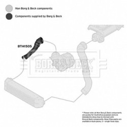 Hose Clip BORG & BECK BTH1505 OE Ref 11617803747 BORG & BECK