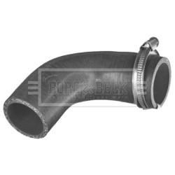 Hose Clip BORG & BECK BTH1517 OE Ref 4417712