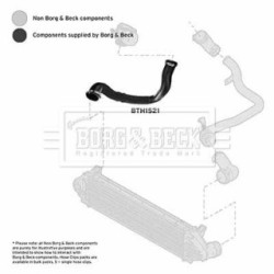 Hose Clip BORG & BECK BTH1521 OE Ref LR066436