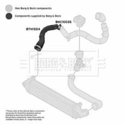 Hose Clip BORG & BECK BTH1524 OE Ref LR024516