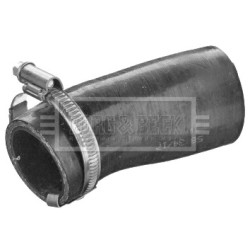 Hose Clip BORG & BECK BTH1532 OE Ref PNH500351