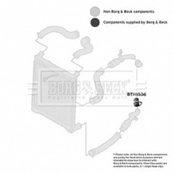 Hose Clip BORG & BECK BTH1536 OE Ref PNH500520 BORG & BECK