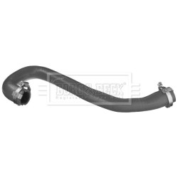 Hose Clip BORG & BECK BTH1542 OE Ref C2Z4536 BORG & BECK