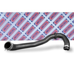 Hose Clip BORG & BECK BTH1562 OE Ref 1751017 BORG & BECK