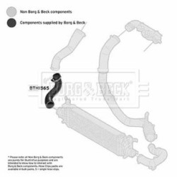 Hose Clip BORG & BECK BTH1565 OE Ref 1342143