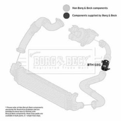 Hose Clip BORG & BECK BTH1595 OE Ref 1257257
