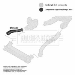 Hose Clip BORG & BECK BTH1604 OE Ref 1778019