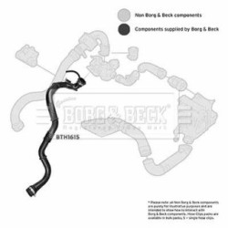 Hose Clip BORG & BECK BTH1615 OE Ref 8200166828