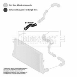Hose Clip BORG & BECK BTH1629 OE Ref 3C0145832Q