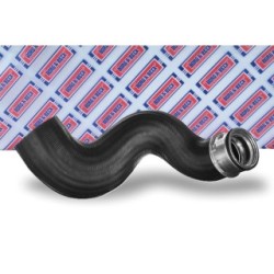 Hose Clip BORG & BECK BTH1632 OE Ref 8E0 145 834 AR BORG & BECK