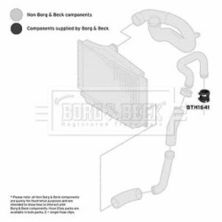 Hose Clip BORG & BECK BTH1641 OE Ref 9179002