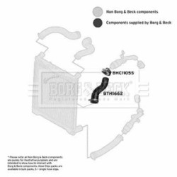Hose Clip BORG & BECK BTH1662 OE Ref PNH500351