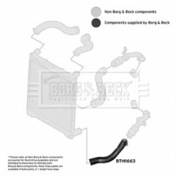 Hose Clip BORG & BECK BTH1663 OE Ref PNH500520