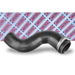 Hose Clip BORG & BECK BTH1664 OE Ref PNH500570 BORG & BECK