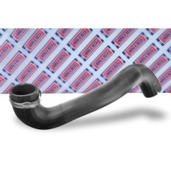 Hose Clip BORG & BECK BTH1667 OE Ref 24444174 BORG & BECK
