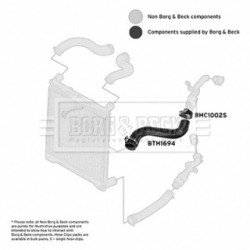 Hose Clip BORG & BECK BTH1694 OE Ref PNH500460