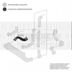 Hose Clip BORG & BECK BTH1702 OE Ref 2105283682