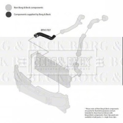 Hose Clip BORG & BECK BTH1707 OE Ref 7M3 145 737 C BORG & BECK