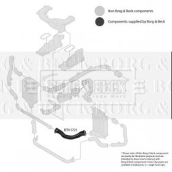 Hose Clip BORG & BECK BTH1721 OE Ref 4F0145943H