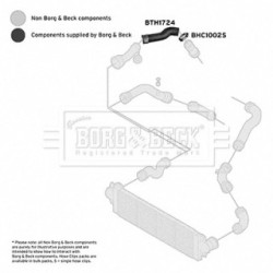 Hose Clip BORG & BECK BTH1724 OE Ref 7H0145708J