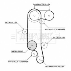 Water Pump & Timing Belt Kit BORG & BECK BTW1006