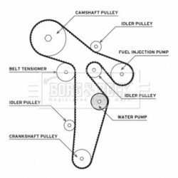 Water Pump & Timing Belt Kit BORG & BECK BTW1035 OE Ref 038 109 244 N