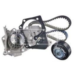 Water Pump & Timing Belt Kit BORG & BECK BTW1079 OE Ref 119A08413R BORG & BECK