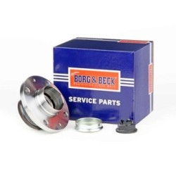 Wheel Bearing Kit BORG & BECK BWK1141 OE Ref 55701518 BORG & BECK