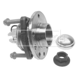 Wheel Bearing Kit BORG & BECK BWK1179 OE Ref 1603 841