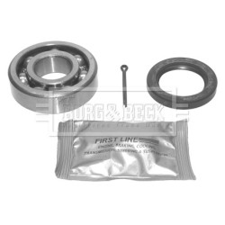 Wheel Bearing Kit BORG & BECK BWK219
