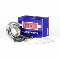 Wheel Bearing Kit BORG & BECK BWK230 OE Ref 4319027 BORG & BECK
