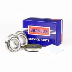 Wheel Bearing Kit BORG & BECK BWK469 OE Ref 81AB-1215-A BORG & BECK