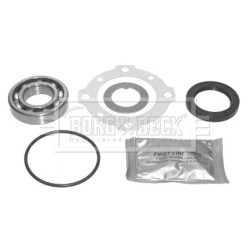 Wheel Bearing Kit BORG & BECK BWK649 BORG & BECK