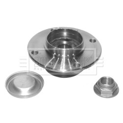 Wheel Bearing Kit BORG & BECK BWK895 OE Ref 374874