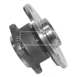 Wheel Bearing Kit BORG & BECK BWK919 OE Ref 0002072 V010 0000 00 BORG & BECK