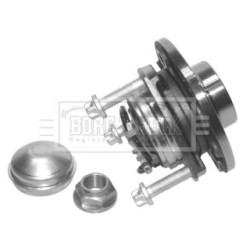 Wheel Bearing Kit BORG & BECK BWK973 OE Ref 1603 254