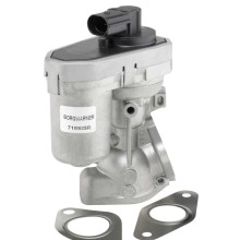 EGR VALVE BorgWarner 710925R OE Ref 1384616 BorgWarner