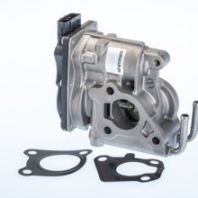 EGR VALVE BorgWarner 710969R OE Ref 258000R010 BorgWarner