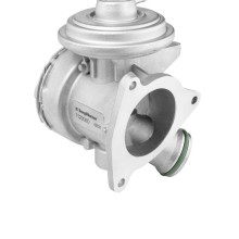 EGR VALVE BorgWarner 712006D OE Ref 6110900754 BorgWarner