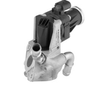 EGR VALVE BorgWarner 712017D OE Ref 1673226 BorgWarner