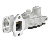EGR VALVE BorgWarner 712074D OE Ref 55581958 BorgWarner