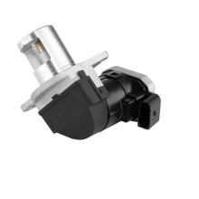EGR VALVE BorgWarner 7625D OE Ref 6461401760 BorgWarner