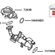 Exhaust Gas Recirculation BorgWarner 7900419