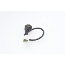 Capteur de cliquetis BOSCH 0261231145 pour FERRARI 360 BOSCH