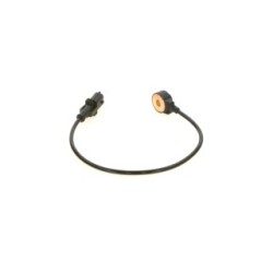 Capteur de cliquetis BOSCH 0261231223 OE 670050208 BOSCH